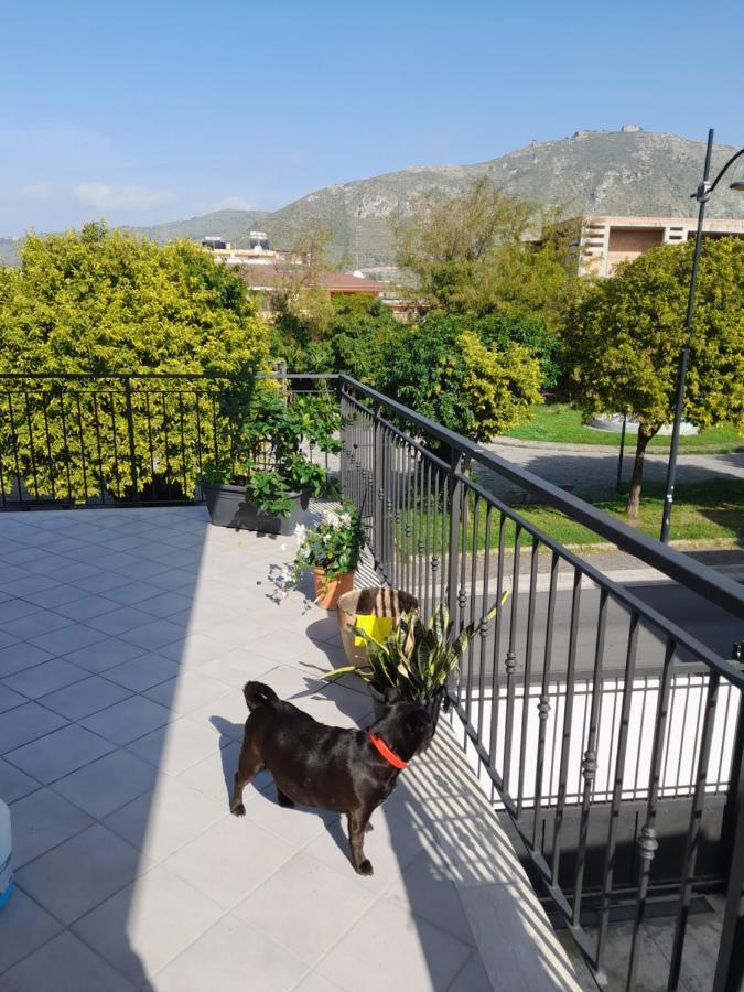 A Casa Di Falco 蒙德拉戈内 外观 照片
